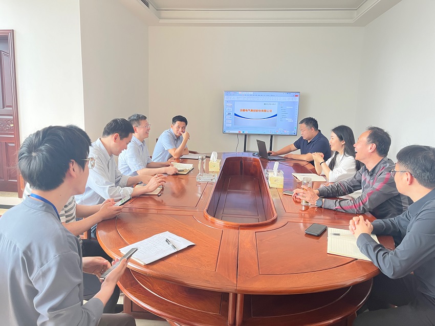 包河區(qū)委常委副書(shū)記劉登銀一行蒞臨安徽電氣集團(tuán)走訪(fǎng)調(diào)研
